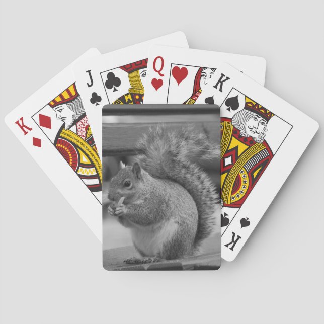 Squirrel Playing Cards (Back)