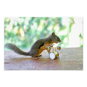 Squirrel Playing Drums Photo Print