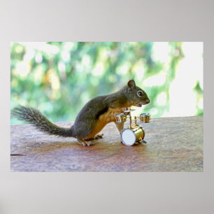 Squirrel Playing Drums Poster
