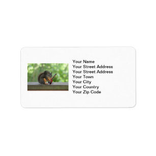 Squirrel Playing Electric Guitar Label