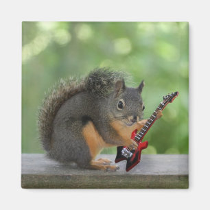 Squirrel Playing Electric Guitar Magnet