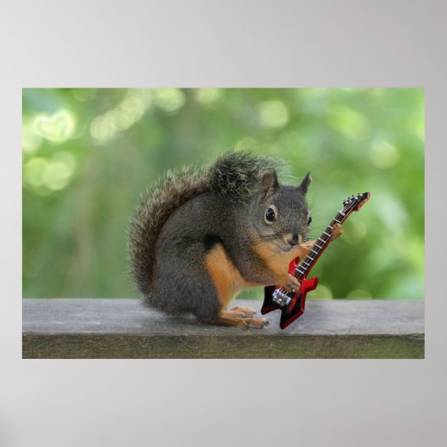 Squirrel Playing Electric Guitar Poster (Front)