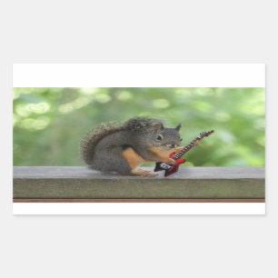 Squirrel Playing Electric Guitar Sticker