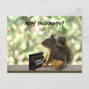 Squirrel Playing Piano Postcard