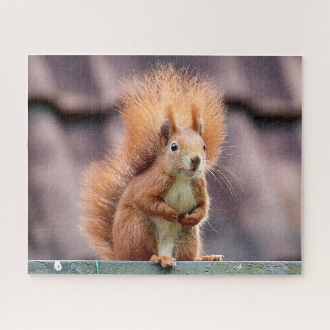 Squirrel Portrait, Jigsaw Puzzle (Horizontal)