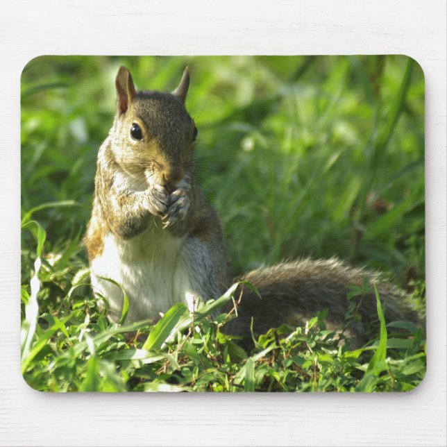 Squirrel Portrait Mouse Pad (Front)