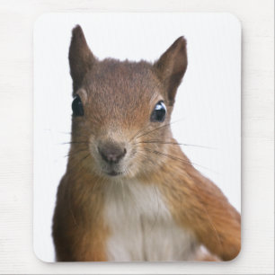 Squirrel Portrait Mousemat Mouse Pad