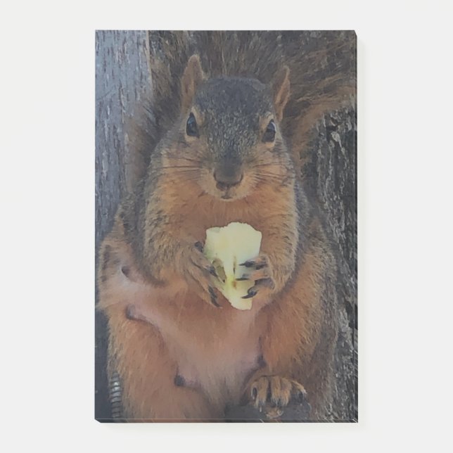 Squirrel  post-it notes (Front)