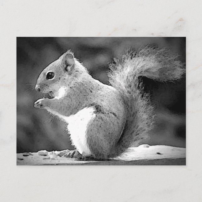 Squirrel Postcard (Front)