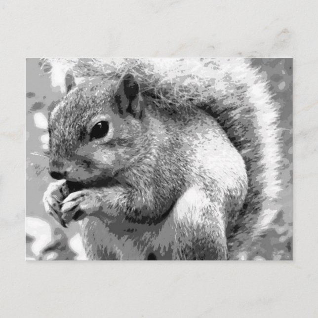 Squirrel Postcard (Front)