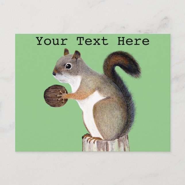 Squirrel Postcard (Front)