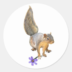 Squirrel Purple Flower Sticker
