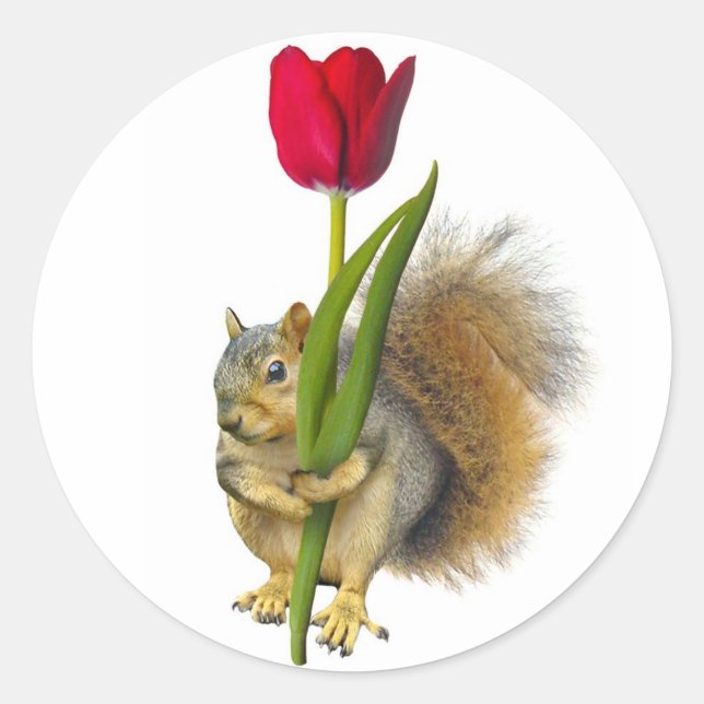 Squirrel Red Tulip Stickers (Front)