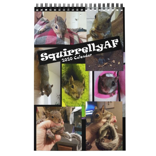 Squirrel Rehab | SquirrellyAF 2020 Wall Calendar (Cover)