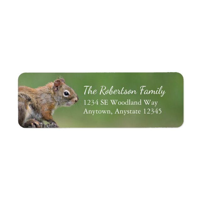 Squirrel Return Address Labels (Front)
