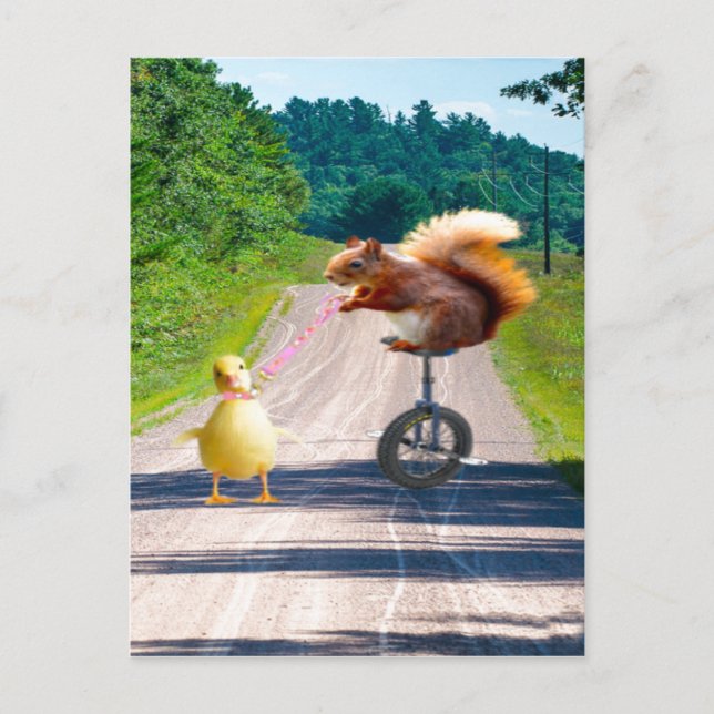 Squirrel Riding Unicycle Walking Duck Postcard (Front)