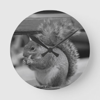 Squirrel Round Clock