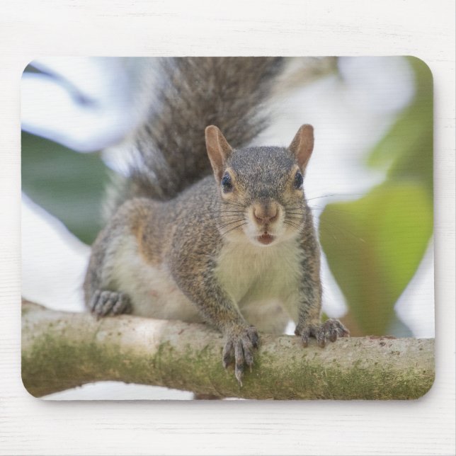 Squirrel Selfie Mouse Pad (Front)