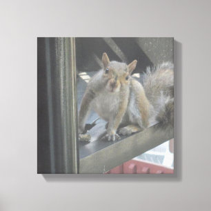 Squirrel Sitting On A Step Canvas Print