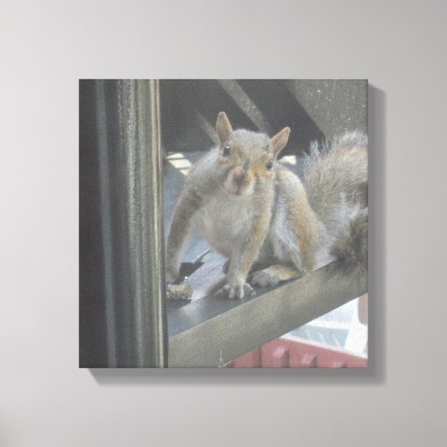 Squirrel Sitting On A Step Canvas Print (Front)