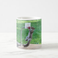 Squirrel Slam Dunk