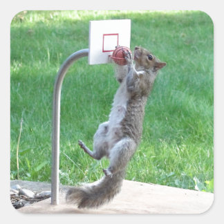 Squirrel Slam Dunk Square Sticker