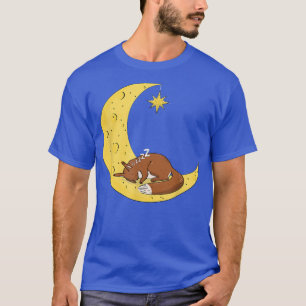 Squirrel Sleeping Pillow with Squirrel Motif T-Shirt