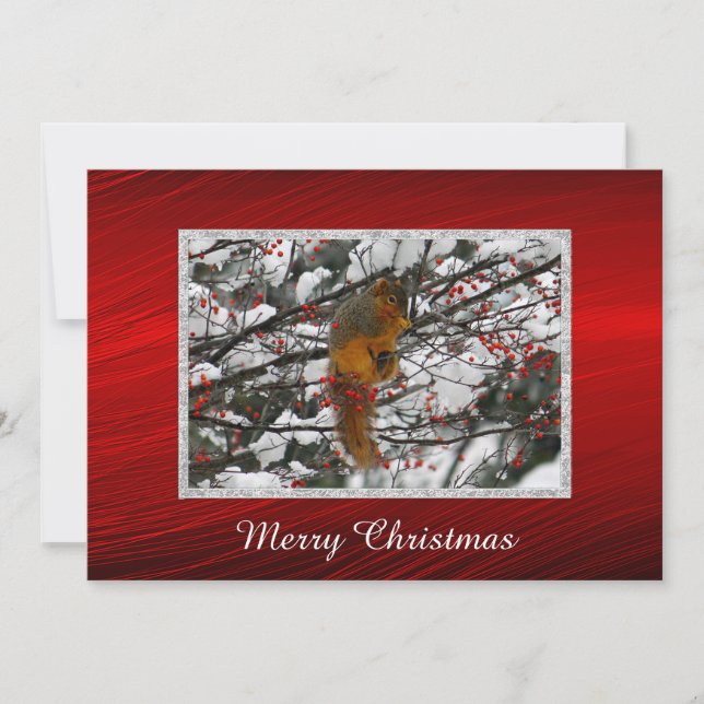 Squirrel Snow Red Berry Tree Photo Christmas Flat Holiday Card (Front)