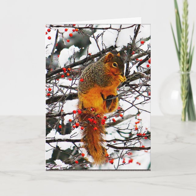 Squirrel Snow Red Berry Tree Photo Christmas Holiday Card (Front)