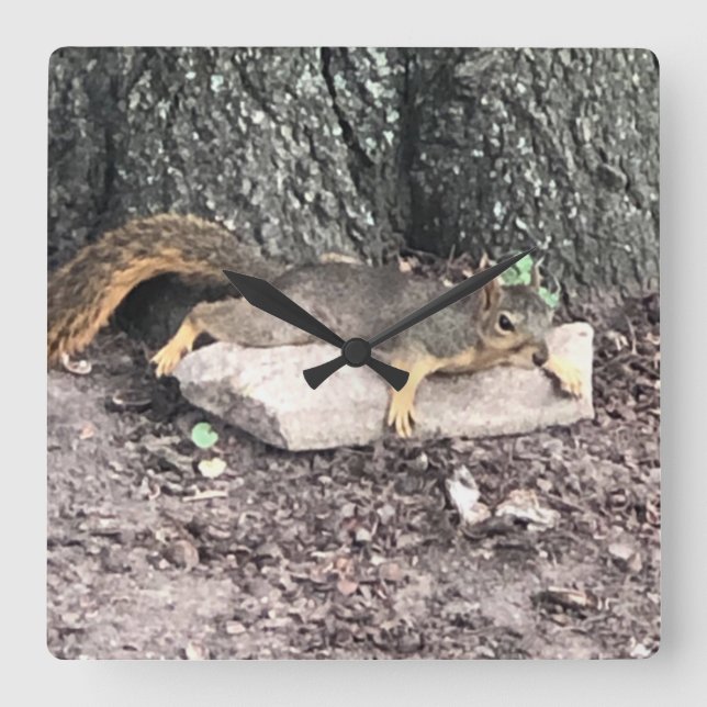 Squirrel Square Wall Clock (Front)