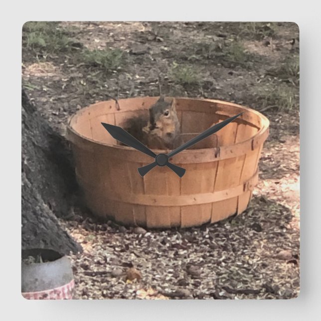 Squirrel Square Wall Clock (Front)