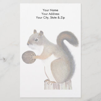 Squirrel Stationery