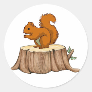 Squirrel Sticker