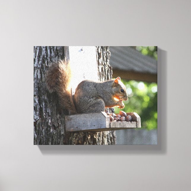 Squirrel Stretched Canvas Print (Front)
