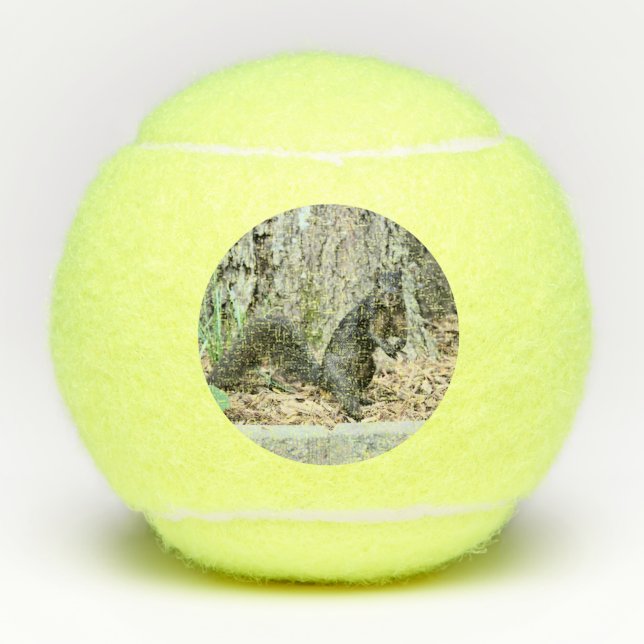 Squirrel Tennis Balls (Front)