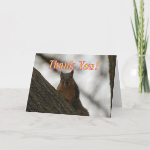Squirrel Thank you card