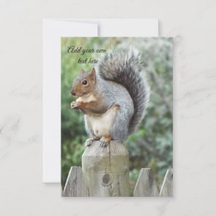 squirrel thank you card