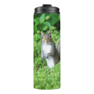 Squirrel Thermal Tumbler