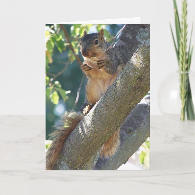 Squirrel, Thinking Of You Card (Front)