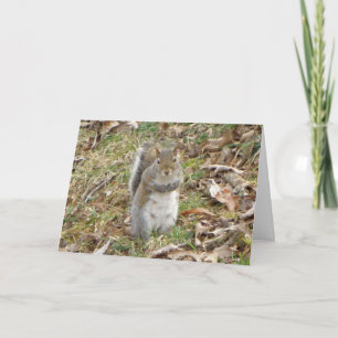 Squirrel Thinking Of You Card