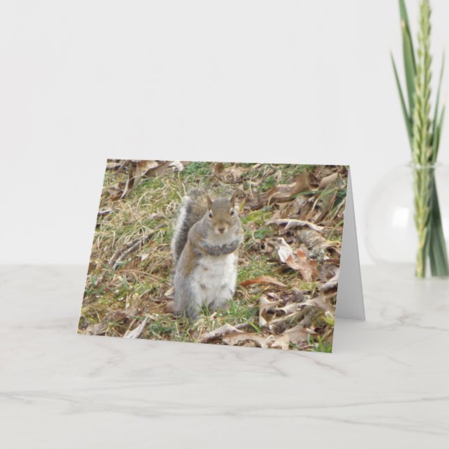 Squirrel Thinking Of You Card (Front)