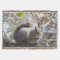 Squirrel throw blanket