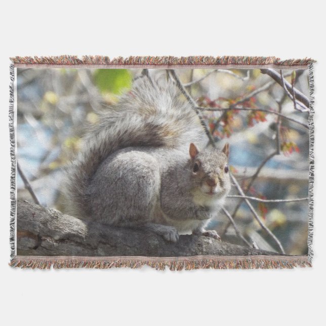 Squirrel throw blanket (Front)