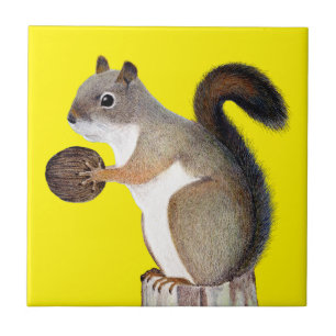 Squirrel Tile