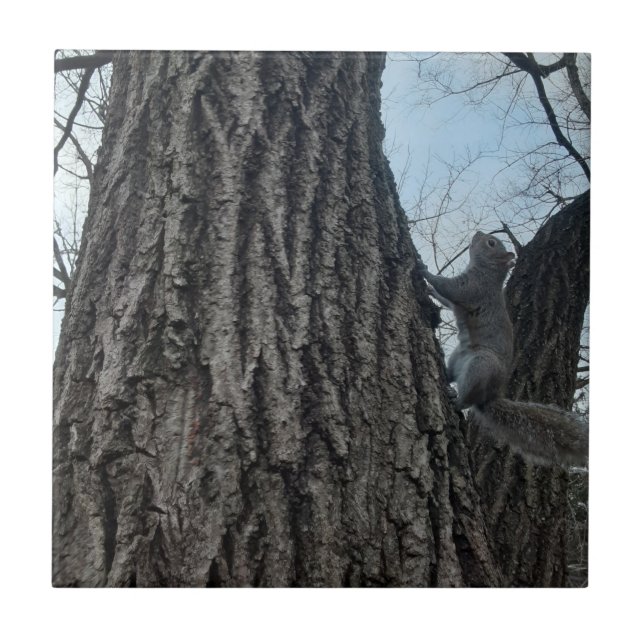 Squirrel Tile (Front)