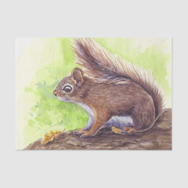 Squirrel Tissue Paper (Front)
