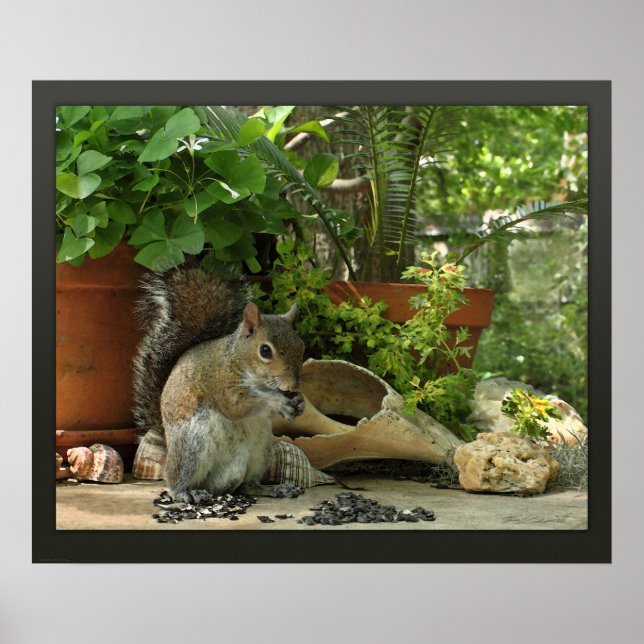 Squirrel Treats Canvas Print -24x20 -or smaller (Front)