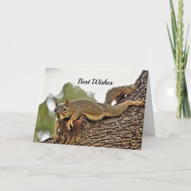 Squirrel Tree Wedding Congratulations Card (Front)