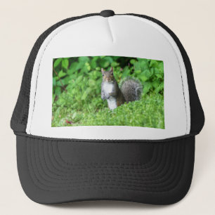 Squirrel Trucker Hat
