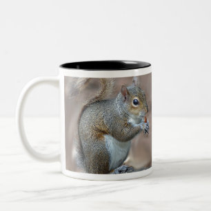 squirrel Two-Tone coffee mug